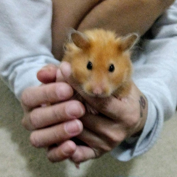 ✌♥🇺🇸♥🇺🇸♥🇺🇸♥✌ - Picture 12 of 14